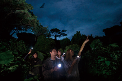 UWAGA JUNGLE NIGHT TREKKING